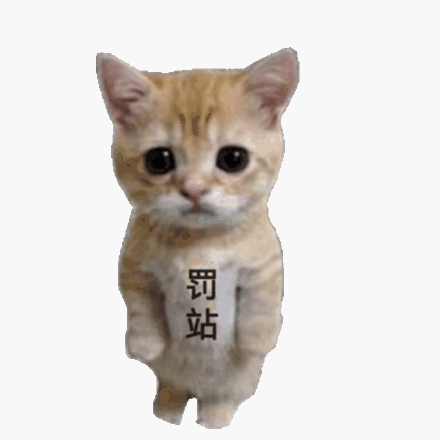 罚站(小猫表情包)