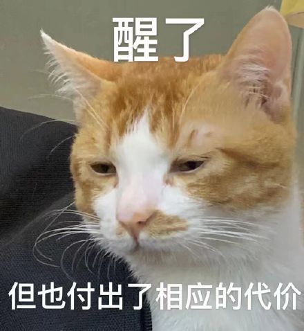 醒了但也付出了相应的代价