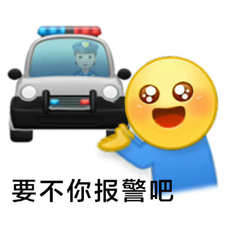 要不你报警吧