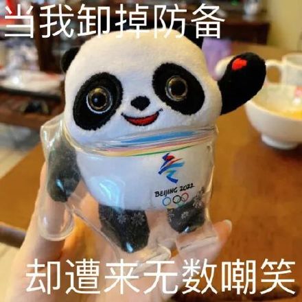 当我卸掉防备却遭来无数嘲笑(冰墩墩表情包)