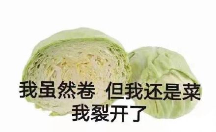 我虽然卷但我还是菜我裂开了