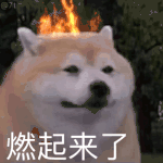 燃起来了(狗狗表情包)