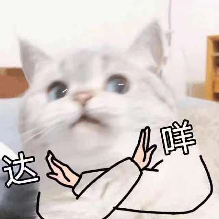 达咩 猫猫不行，不干，不许表情包