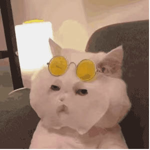 怎样？猫咪敷面膜 GIF 动图表情包