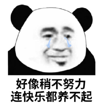 好像稍不努力连快乐都养不起