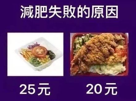 減肥失敗的原因25元20元