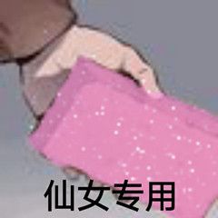 仙女专用砖头