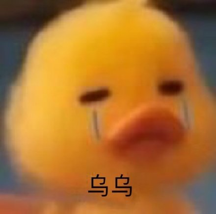 乌乌  鸭鸭流泪表情包