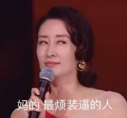 妈的最烦装逼的人(刘敏涛表情包)