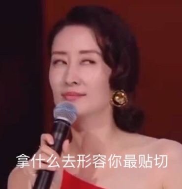 拿什么去形容你最贴切（刘敏涛表情包）