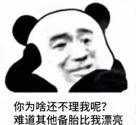 你为啥还不理我呢？难道其他备胎比我漂亮？