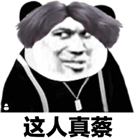 这人真蔡