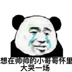 想在帅帅的小哥哥怀里大哭一场