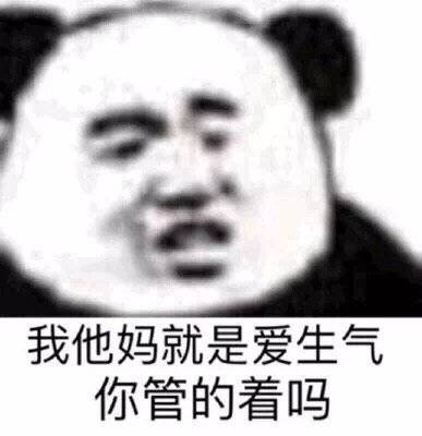 我他妈就是爱生气你管的着吗(熊猫头)