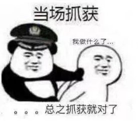 当场抓获我做什么了。。。总之抓获就对了