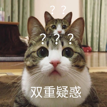 双重疑惑（猫咪问号表情包）