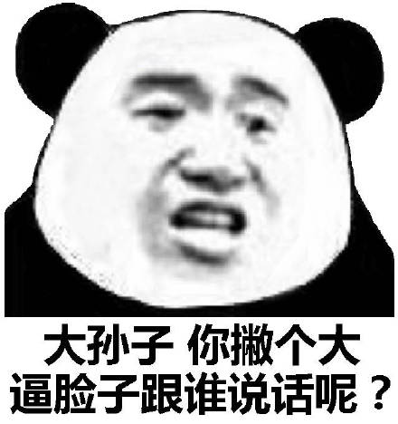 大孙子你撇个大逼脸子跟谁说话呢?