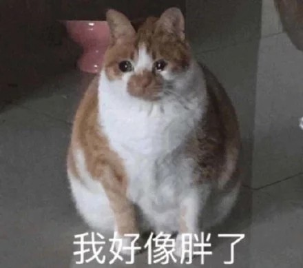 我好像胖了（猫咪）