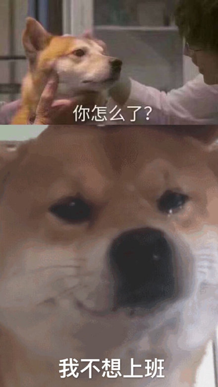 你怎么了？我不想上班