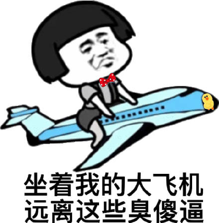 坐着我的大飞机 远离这些臭傻逼