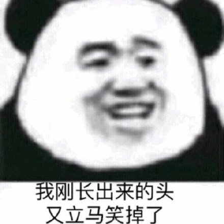 我刚长出来的头又立马笑掉了（熊猫头）