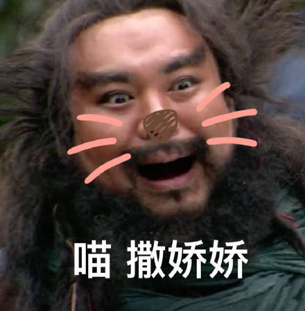 喵 撒娇娇（张飞）