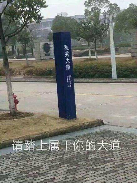 请踏上属于你的大道：独秀大道