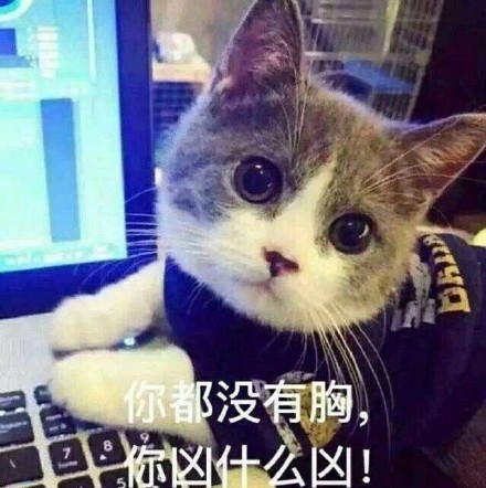 你都没有胸，凶什么凶!（猫咪）