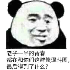 老子一半的青春都在和你们这群傻逼斗图，最后得到了什么?(熊猫头)