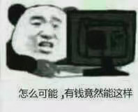 怎么可能，有钱竟然能这样（熊猫头）