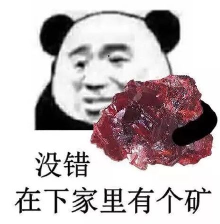 没错，在下我家里有个矿