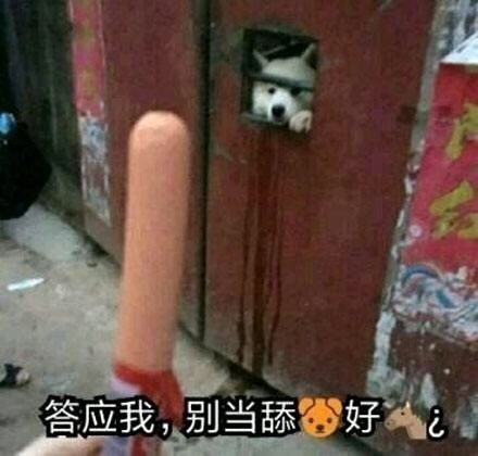 肉条给你，答应我，别当舔狗好吗