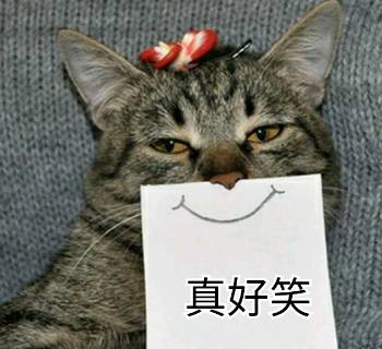 真好笑(猫咪)