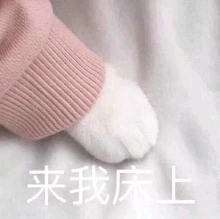 来我床上（猫爪）