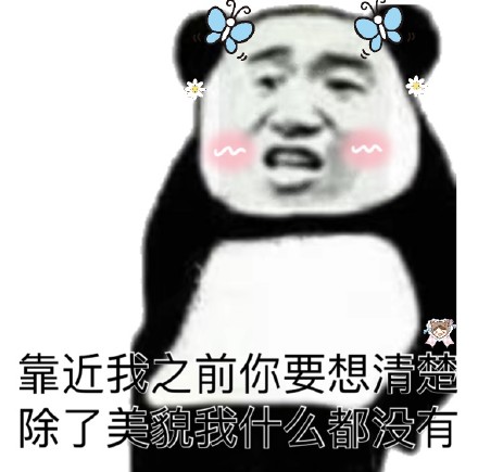 靠近我之前你要想清楚，除了美貌我什么都没有（熊猫头）