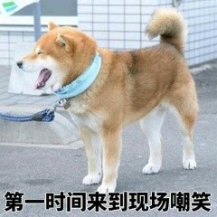 第一时间来到现场嘲笑(doge汪星人)