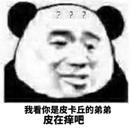 77我看你是皮卡丘的弟弟皮在痒吧