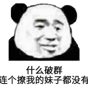 什么破群，连个撩我的妹子都没有(熊猫头群聊表情包)