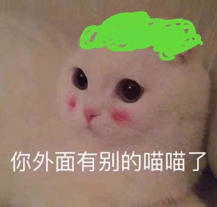 你外面有别的喵喵了(猫咪绿帽)