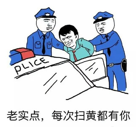 老实点，每次扫黄都有你！