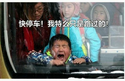 快停车!我特么只是路过的!