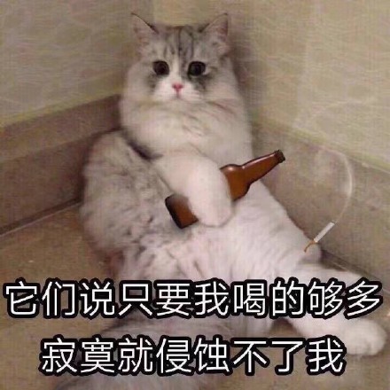 它们说只要我喝的够多，寂寞就侵蚀不了我。猫咪坐在墙角喝酒抽烟