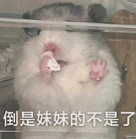 倒是妹妹的不是了