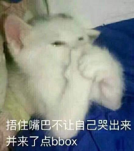 捂住嘴巴不让自己哭出来并来了点bbox(猫猫表情包)