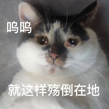 呜呜就这样殇倒在地(流泪猫猫头表情包)