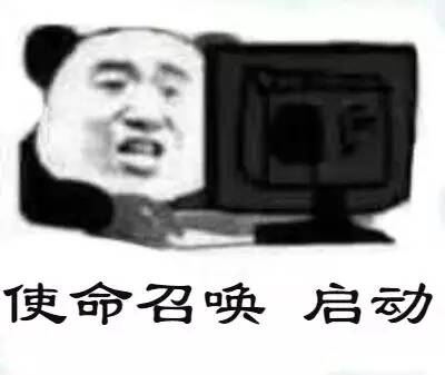 使命召唤启动