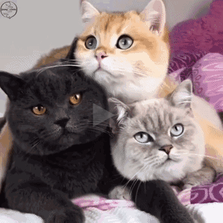 我们三兄弟一起成长