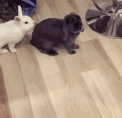 你想干嘛？不要碰我