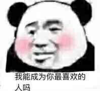 我能成为你最喜欢的人吗