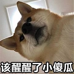 该醒醒了，小傻瓜